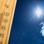 Canicule01