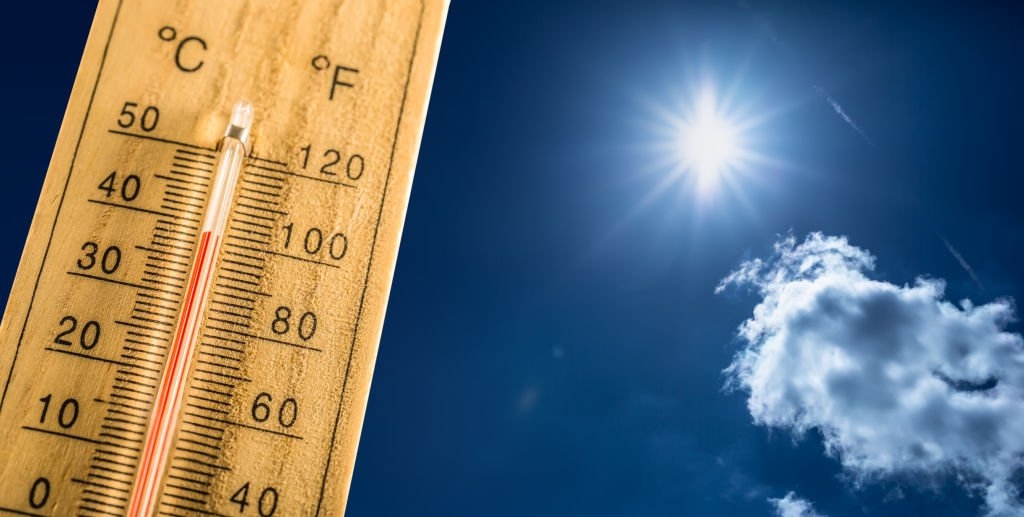 Canicule01