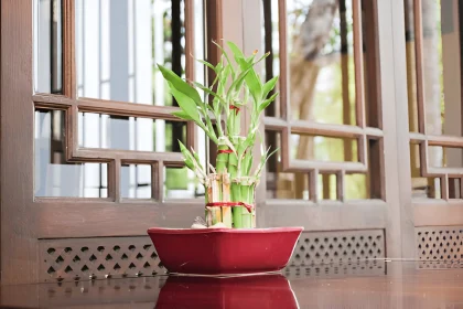 Feng shui et rangement