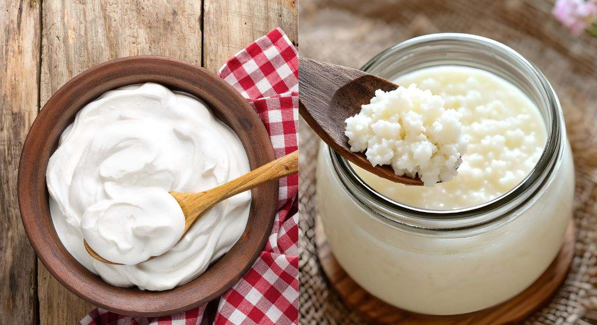 Kéfir : 6 bienfaits étonnants pour le microbiote et le bien-être