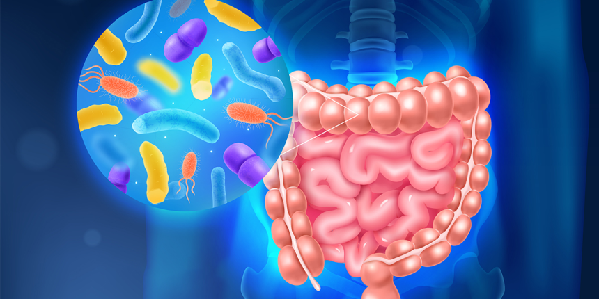 Microbiote