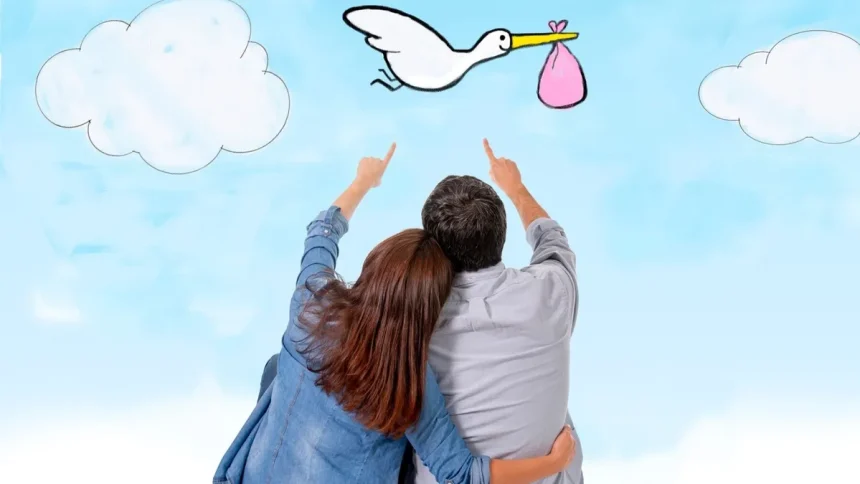 Projet bébé