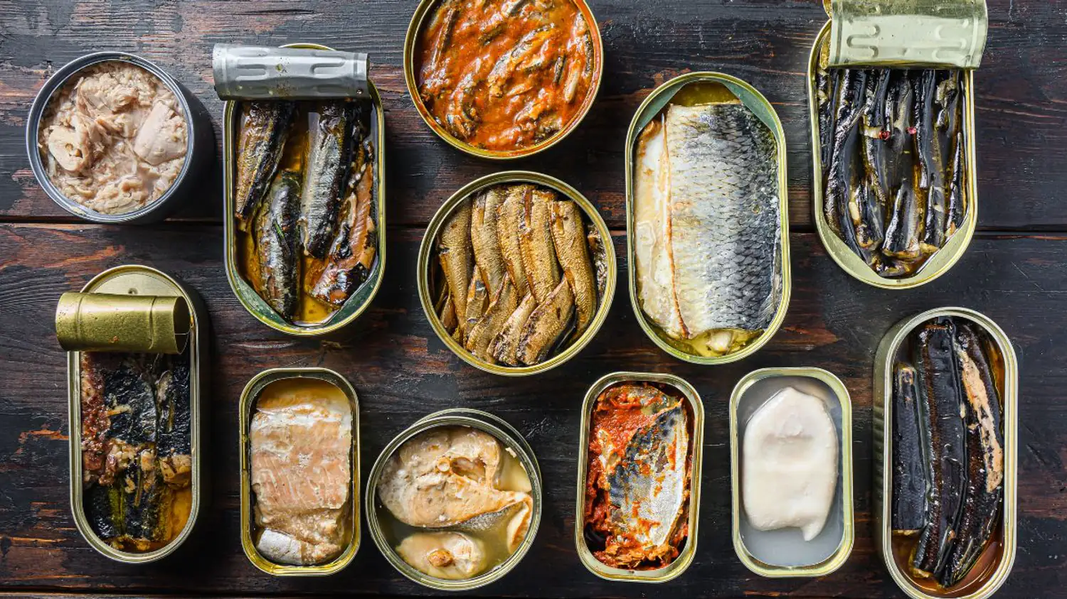 Sardine et maquereau