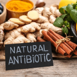 antibiotiques naturels