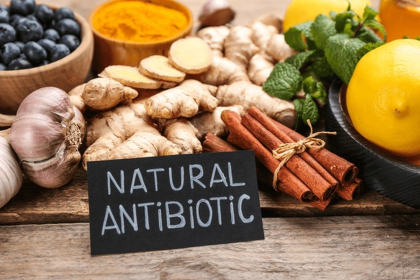 antibiotiques naturels