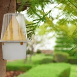 Aménager son jardin de manière écologique et économique