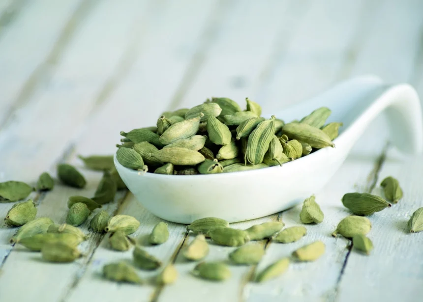 cardamome