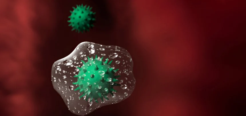 cellule virus