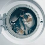 chat cache