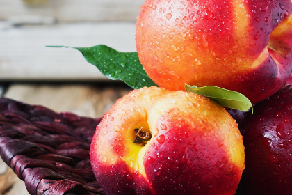 conserver les nectarines