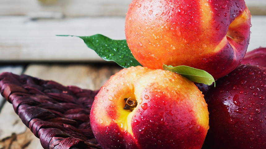 conserver les nectarines