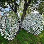 les coquilles d’huîtres