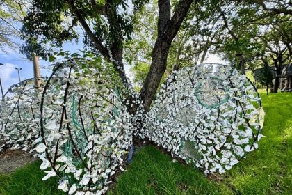 les coquilles d’huîtres