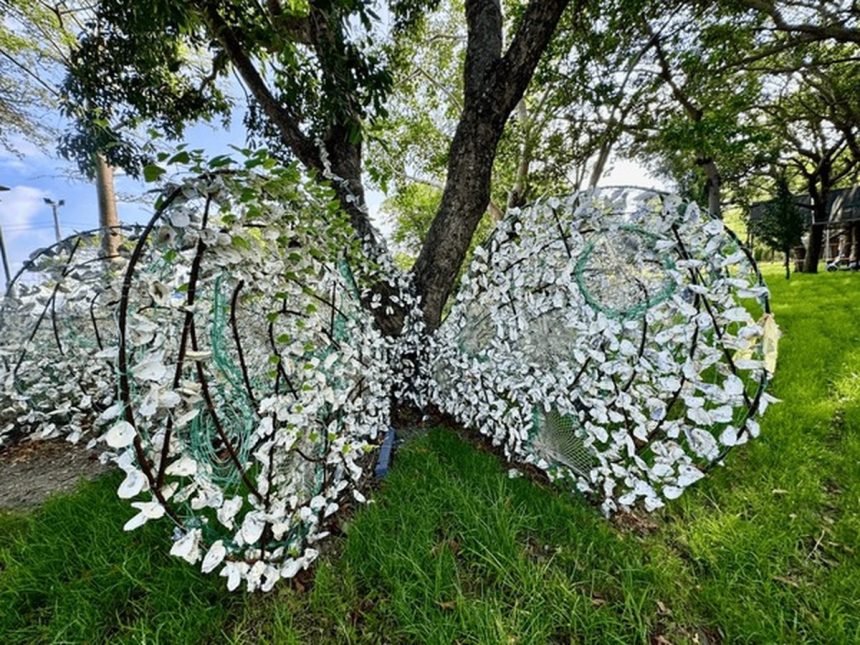 les coquilles d’huîtres