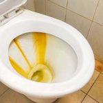 cuvette toilette 01