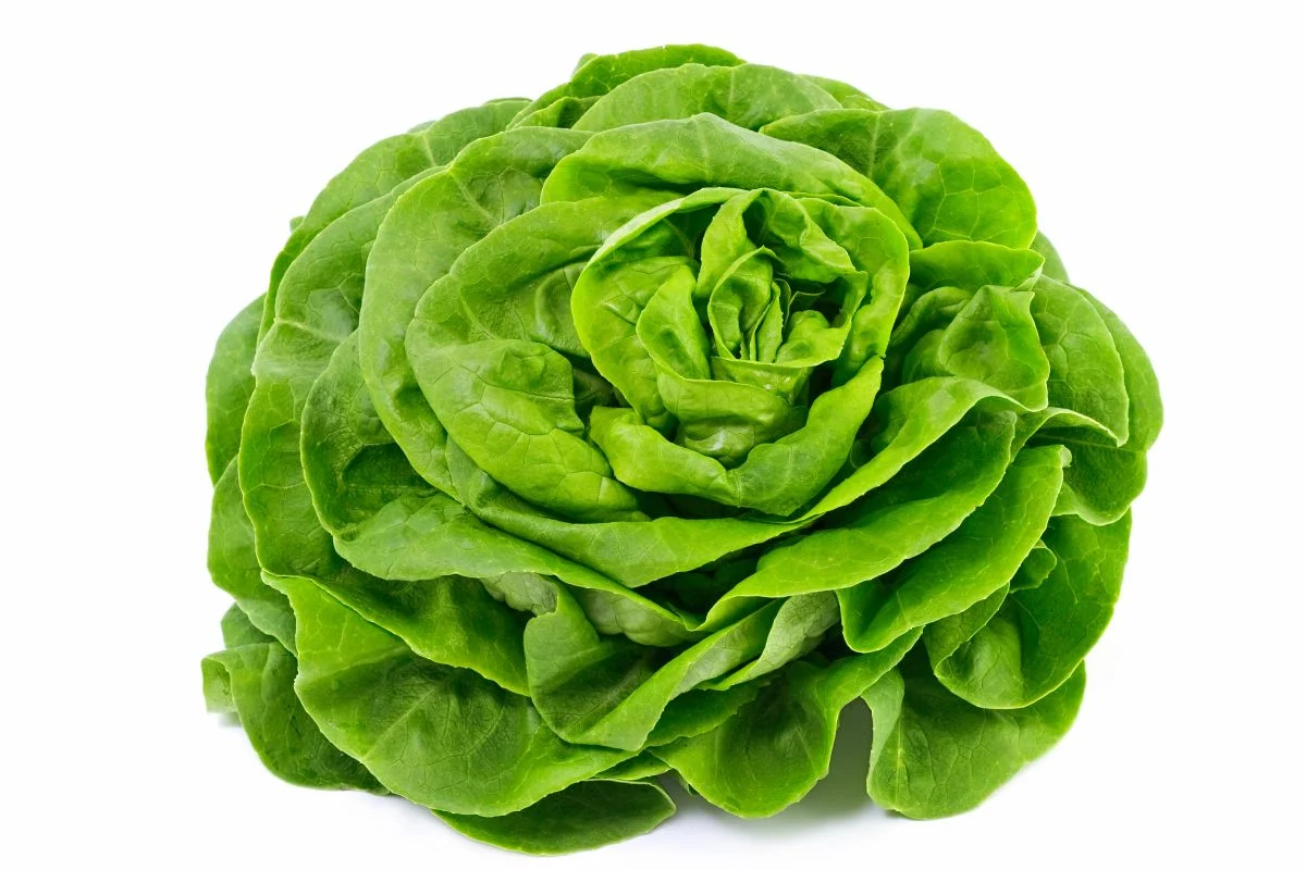 la salade