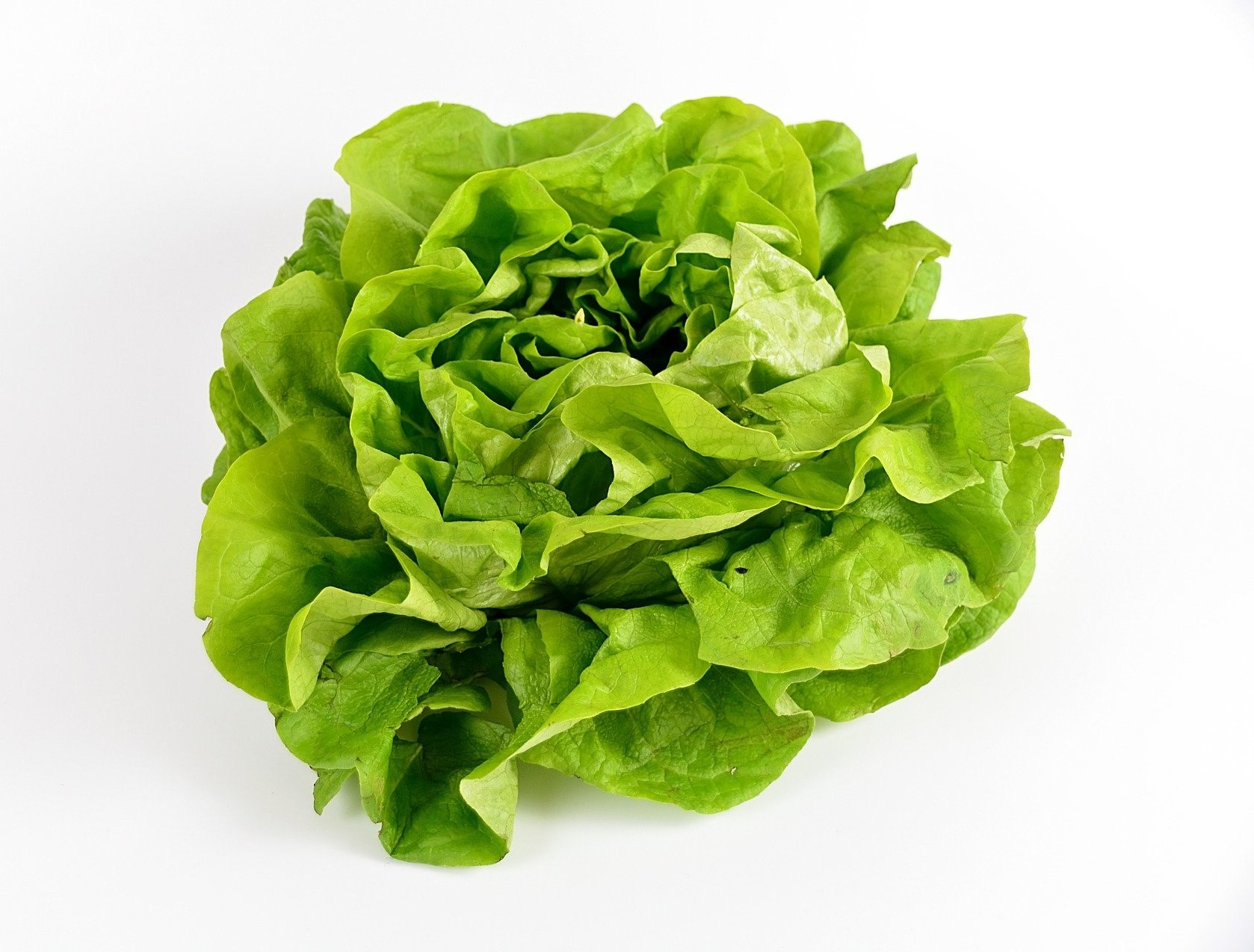 la salade