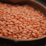 lentilles