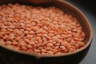 lentilles
