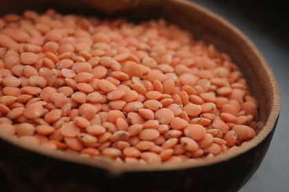 lentilles
