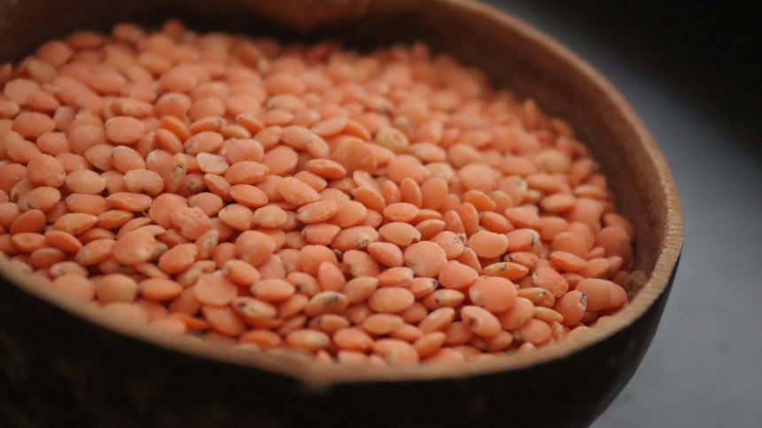 lentilles