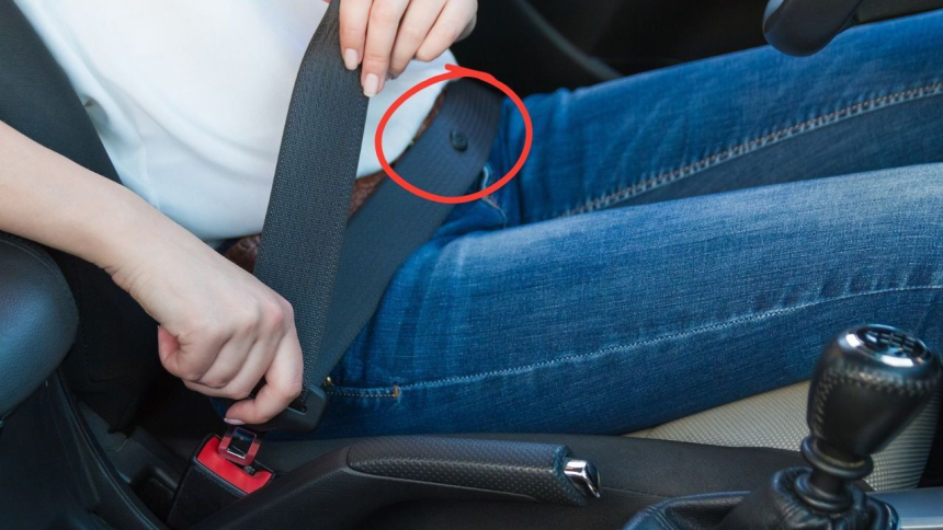 petit bouton sur la ceinture de sécurité