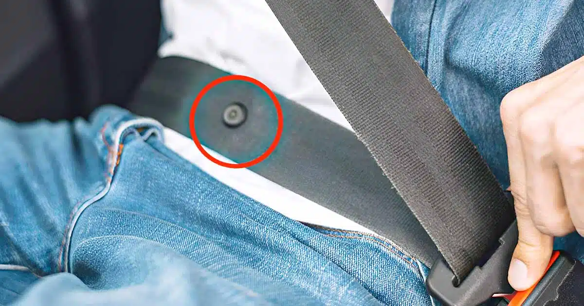 ceinture de sécurité