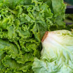 La salade verte est-elle un légume vert