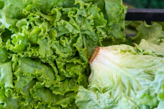 La salade verte est-elle un légume vert