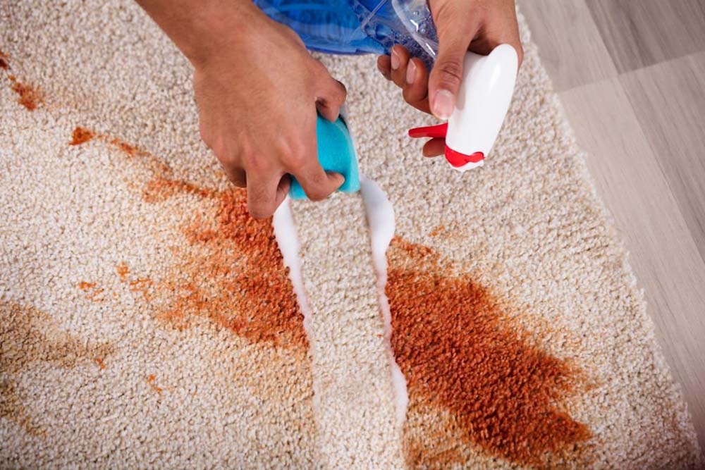Nettoyage à la vapeur des tapis