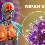 virus Nipah